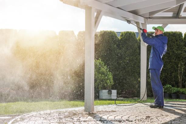 Best Driveway Pressure Washing  in Saucier, MS