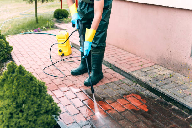 Best Animal Enclosure Cleaning  in Saucier, MS